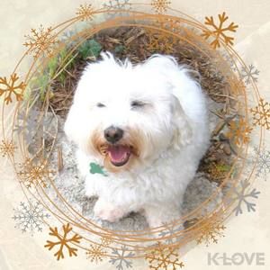 Meet your Posher, Barbara